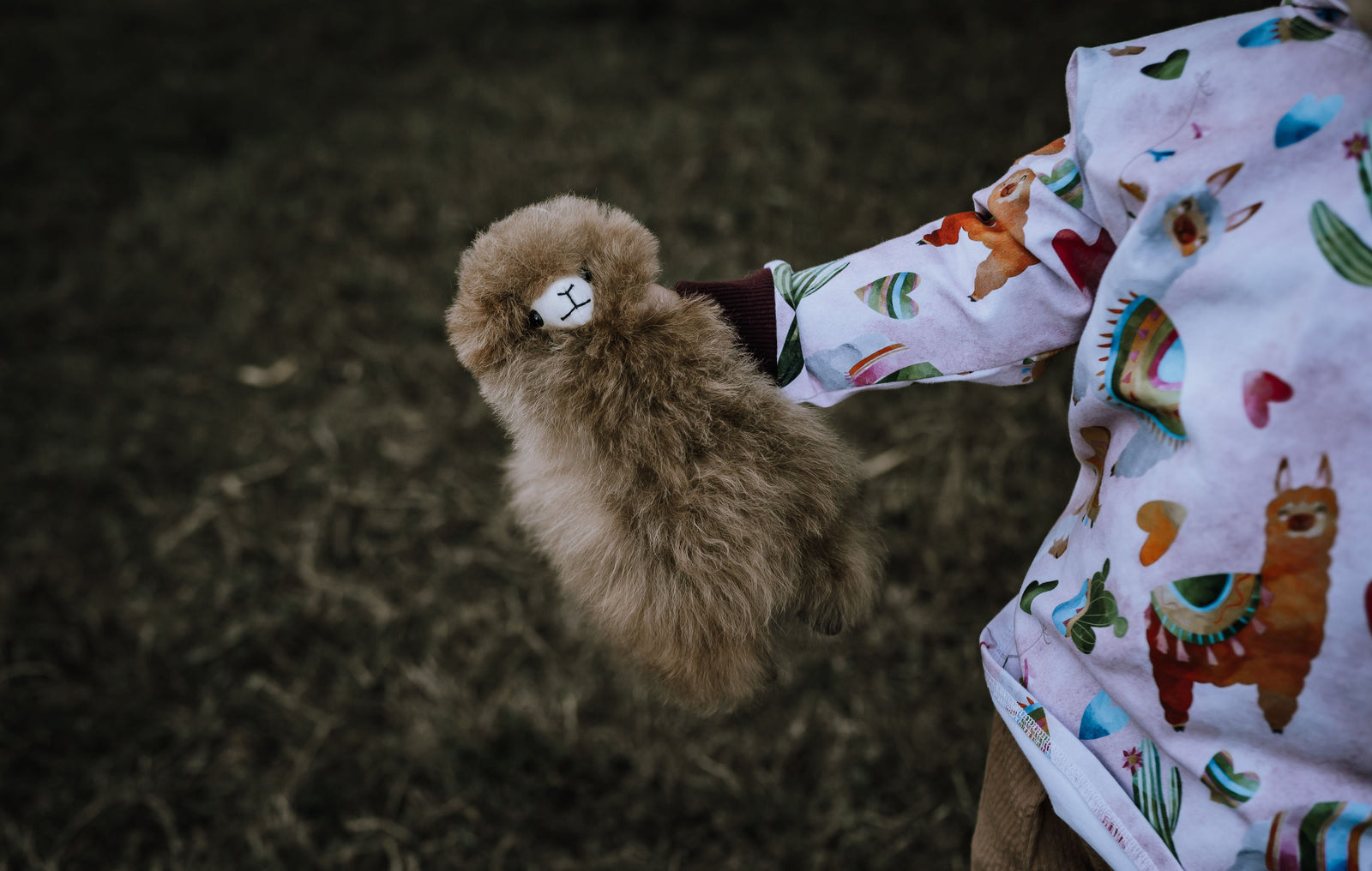 Animal Friends