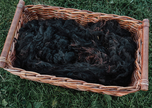 Alpaca Fleece