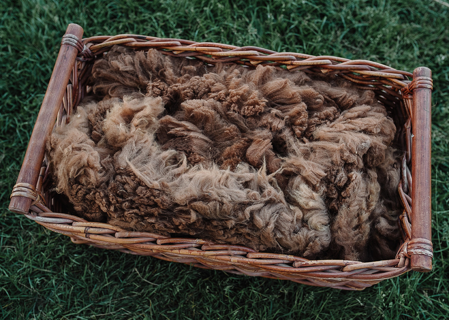 Alpaca Fleece