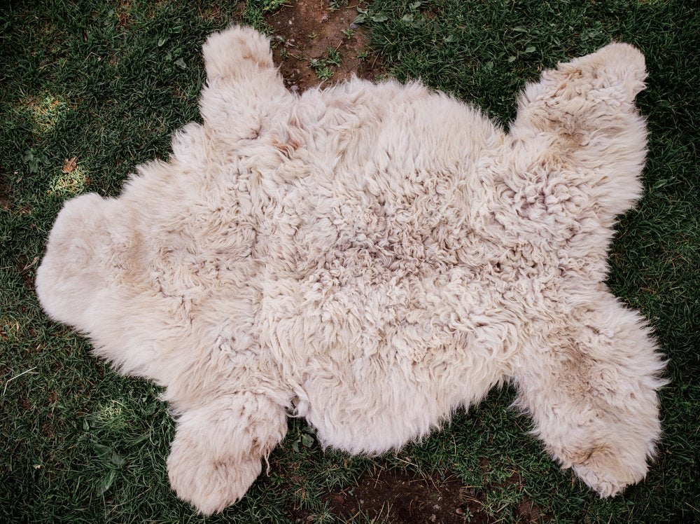 X-Large Huacaya Alpaca Hides