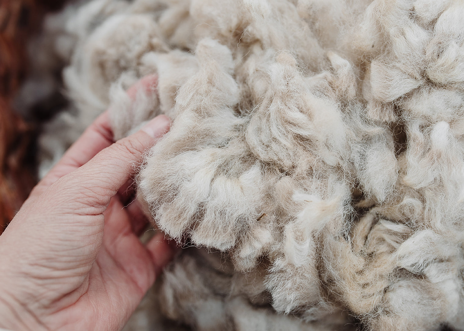 Alpaca Fleece