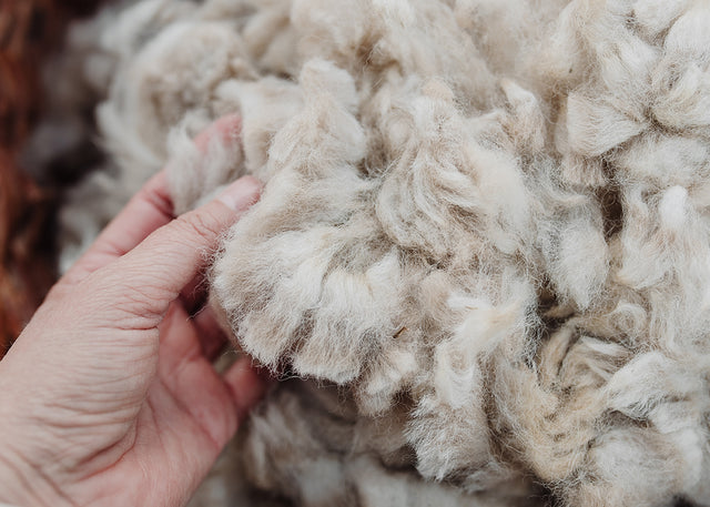 Alpaca Fleece