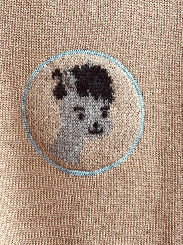 Child's Alpaca Paco Sweater