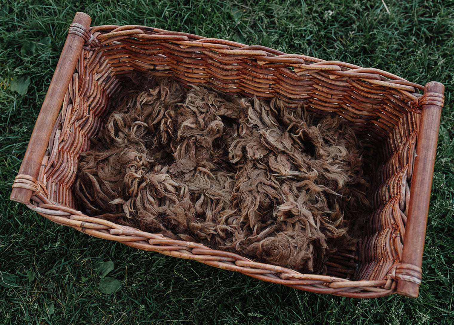 Alpaca Fleece