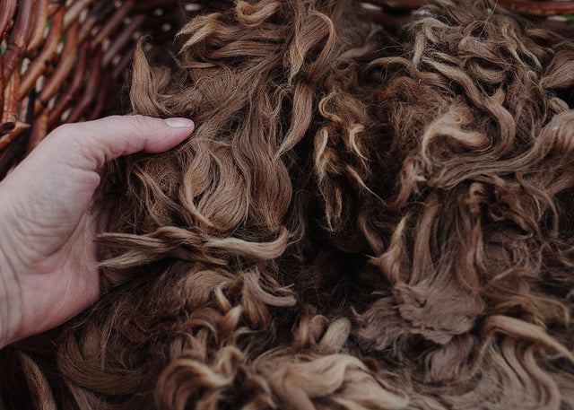 Alpaca Fleece