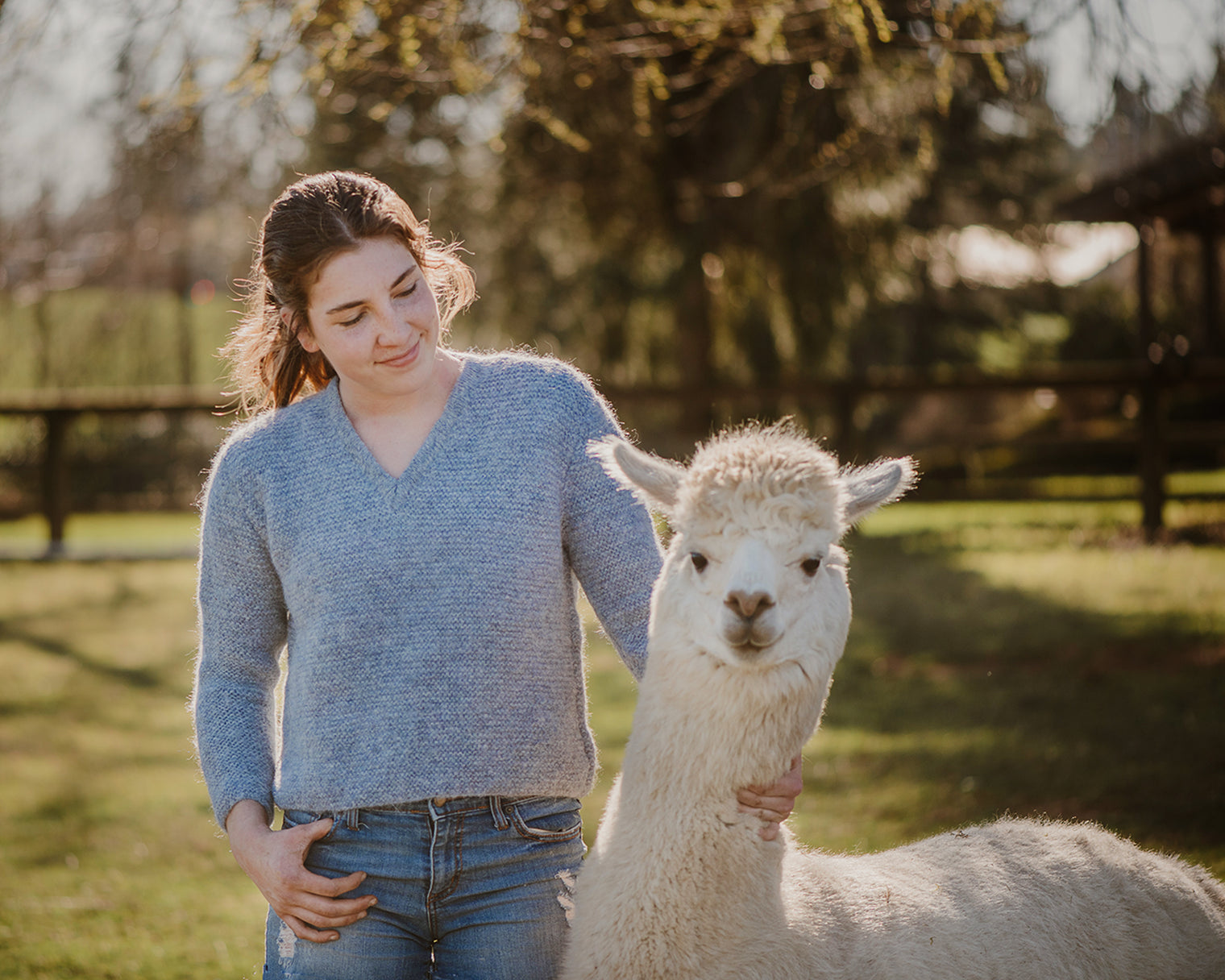 Hand Knit SW Dawn V-Neck Alpaca Sweater