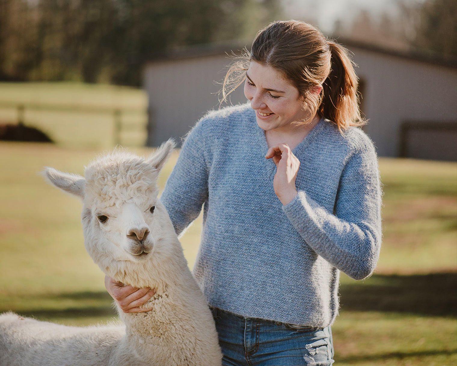 Hand Knit SW Dawn V-Neck Alpaca Sweater