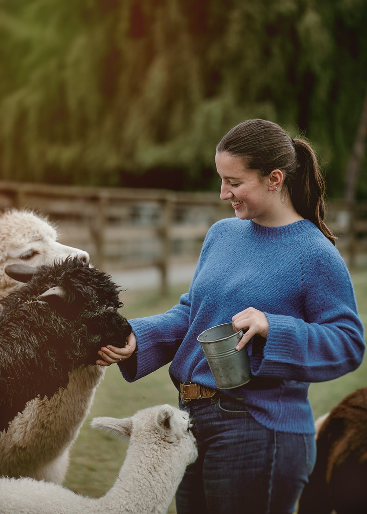 Cherry Suri Alpaca pullover Sweater