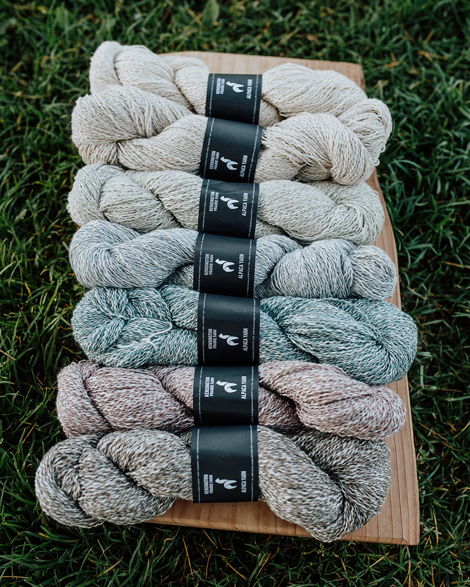 1-Ply Feijo Alpaca Blend