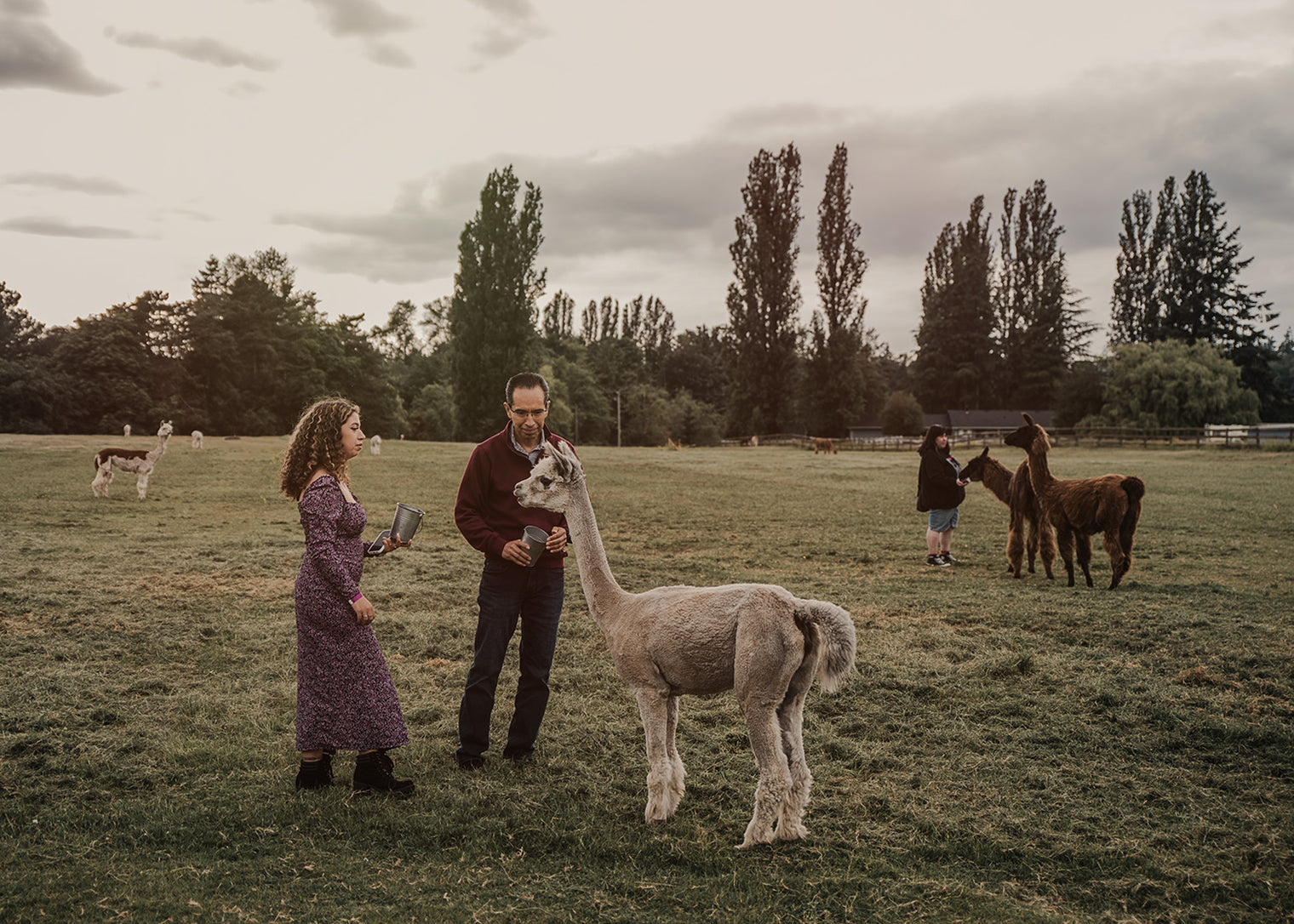 Boogie in the Barn Music Bingo
