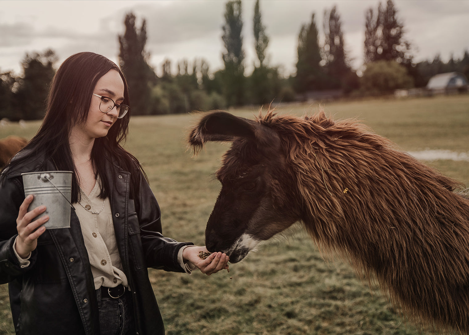 Boogie in the Barn Music Bingo