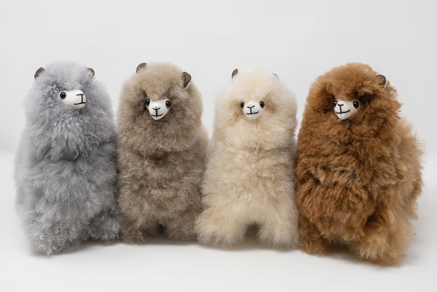 Standing Alpaca