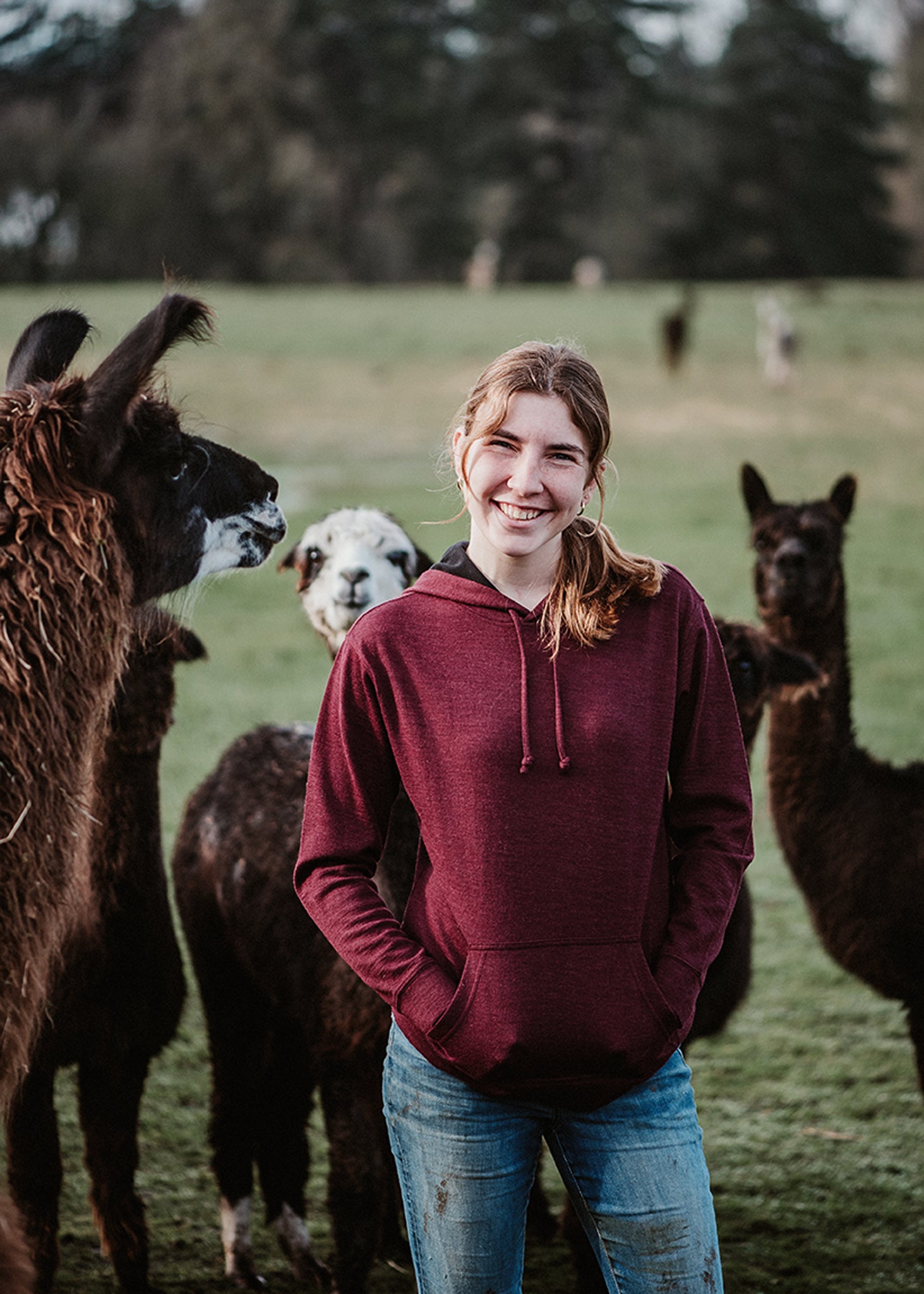Alpaca Hooded Pullover