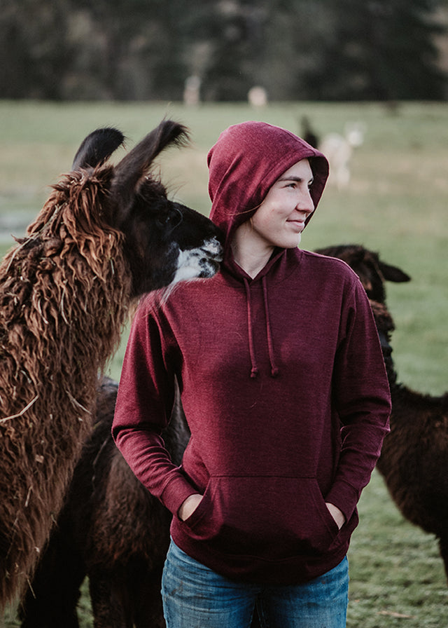 Alpaca Hooded Pullover
