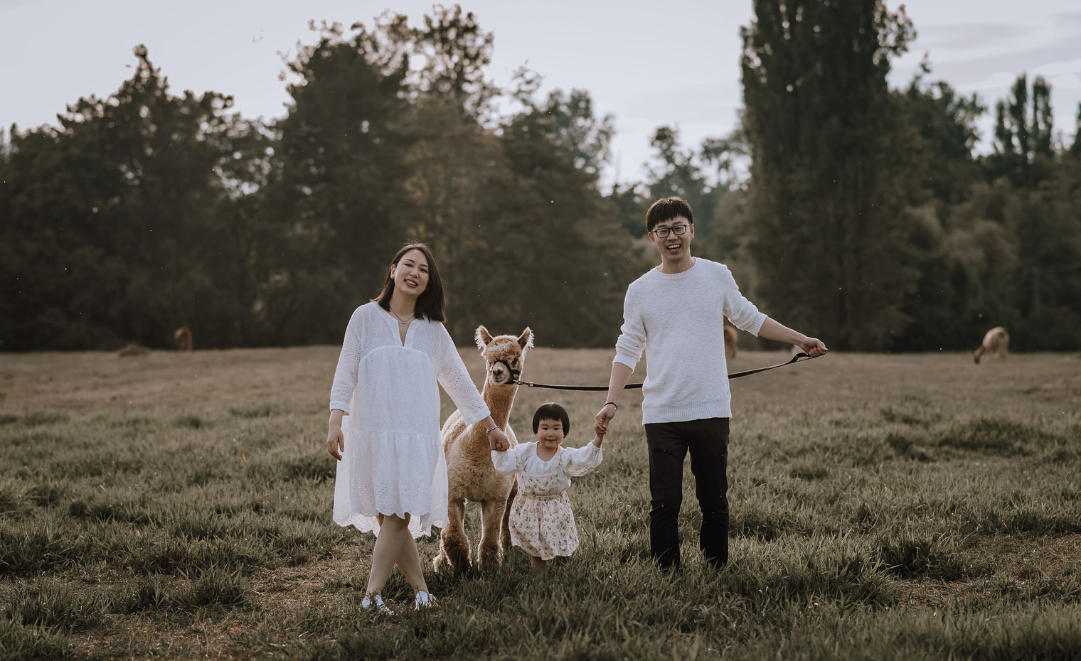 Alpaca Walk (Friday) @ 10:00 am