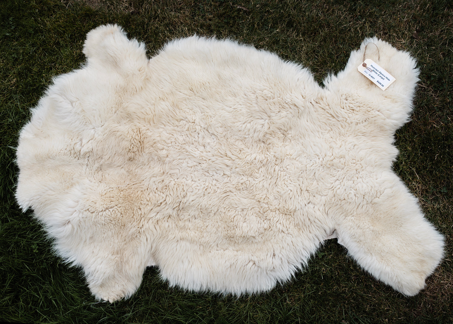 Large Huacaya Alpaca Hides