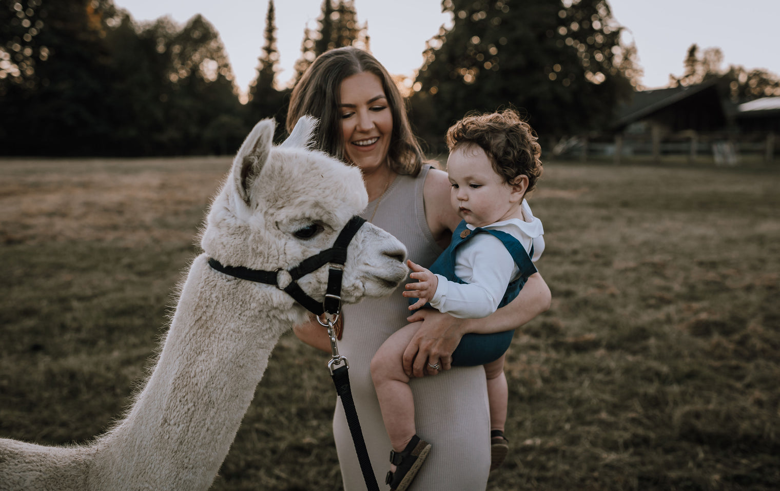 Alpaca Walk (Sunday) @ 10:00 am