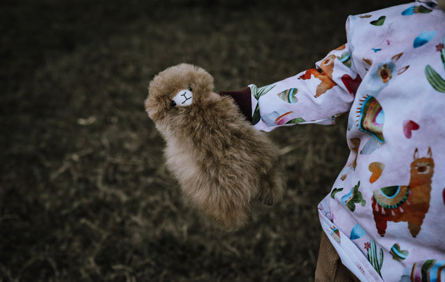Animal Friends