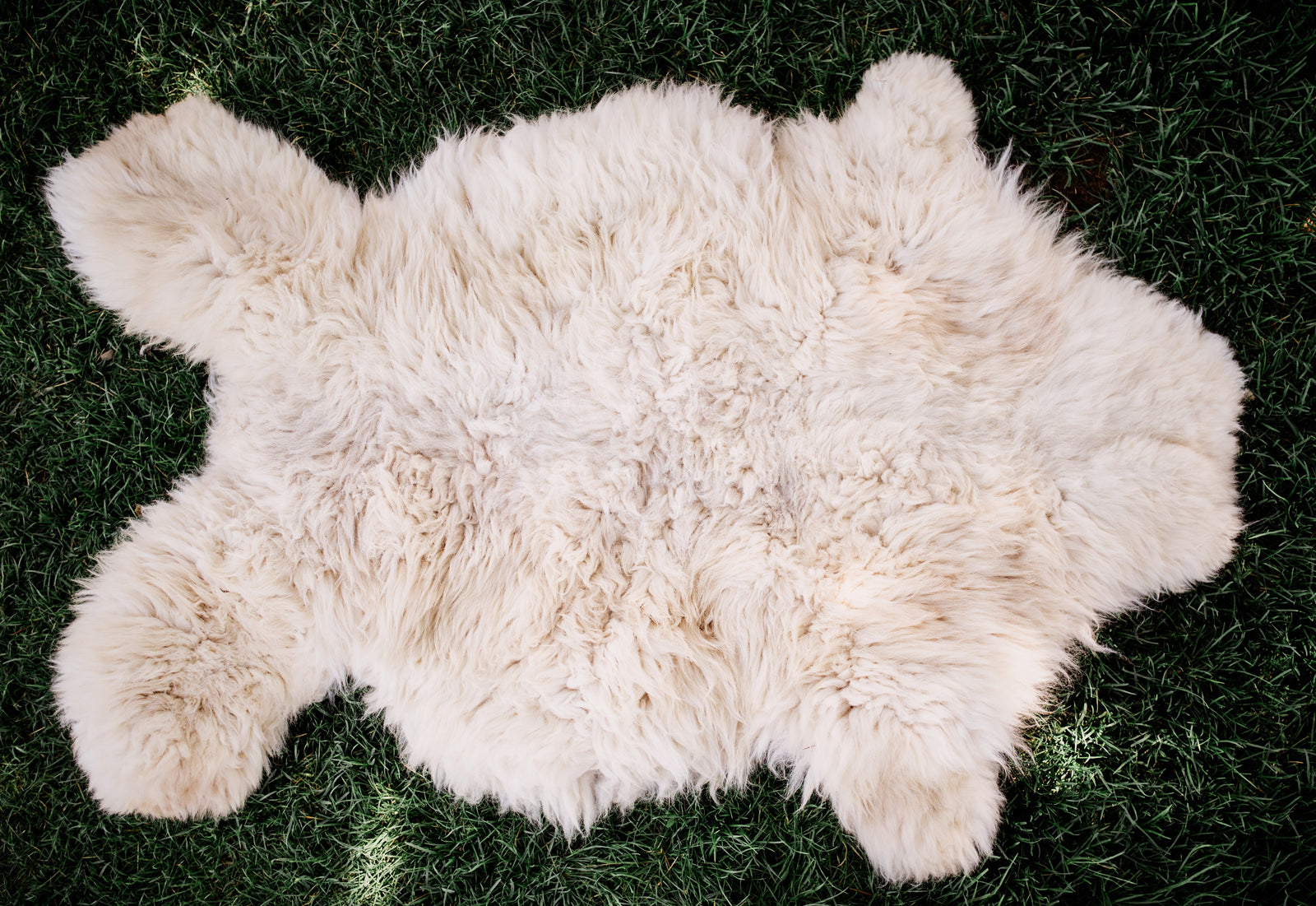 Alpaca Hides