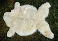 X-Large Huacaya Alpaca Hides