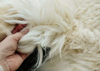Large Huacaya Alpaca Hides