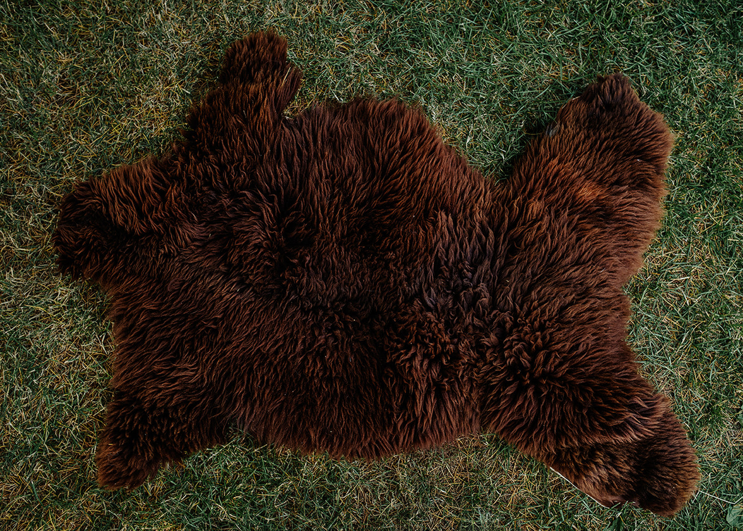 Large Huacaya Alpaca Hides