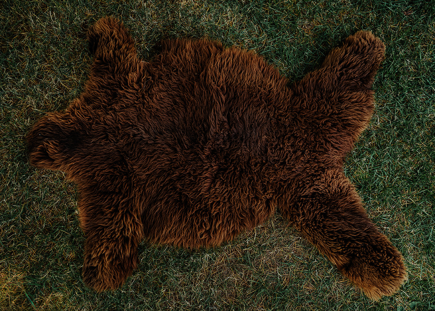 Large Huacaya Alpaca Hides