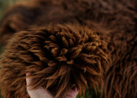 Large Huacaya Alpaca Hides