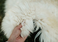X-Large Huacaya Alpaca Hides