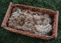 Alpaca Fleece