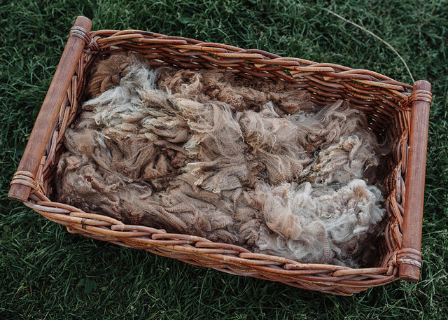 Alpaca Fleece