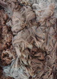 Alpaca Fleece
