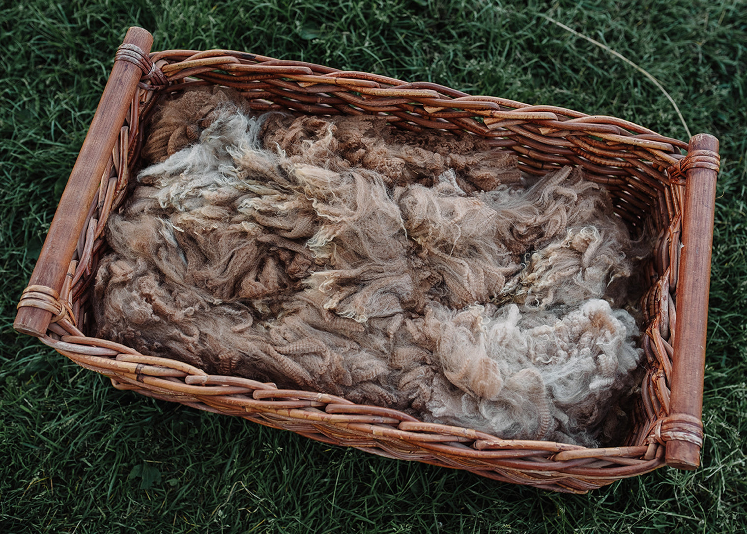 Alpaca Fleece