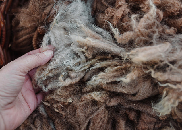 Alpaca Fleece