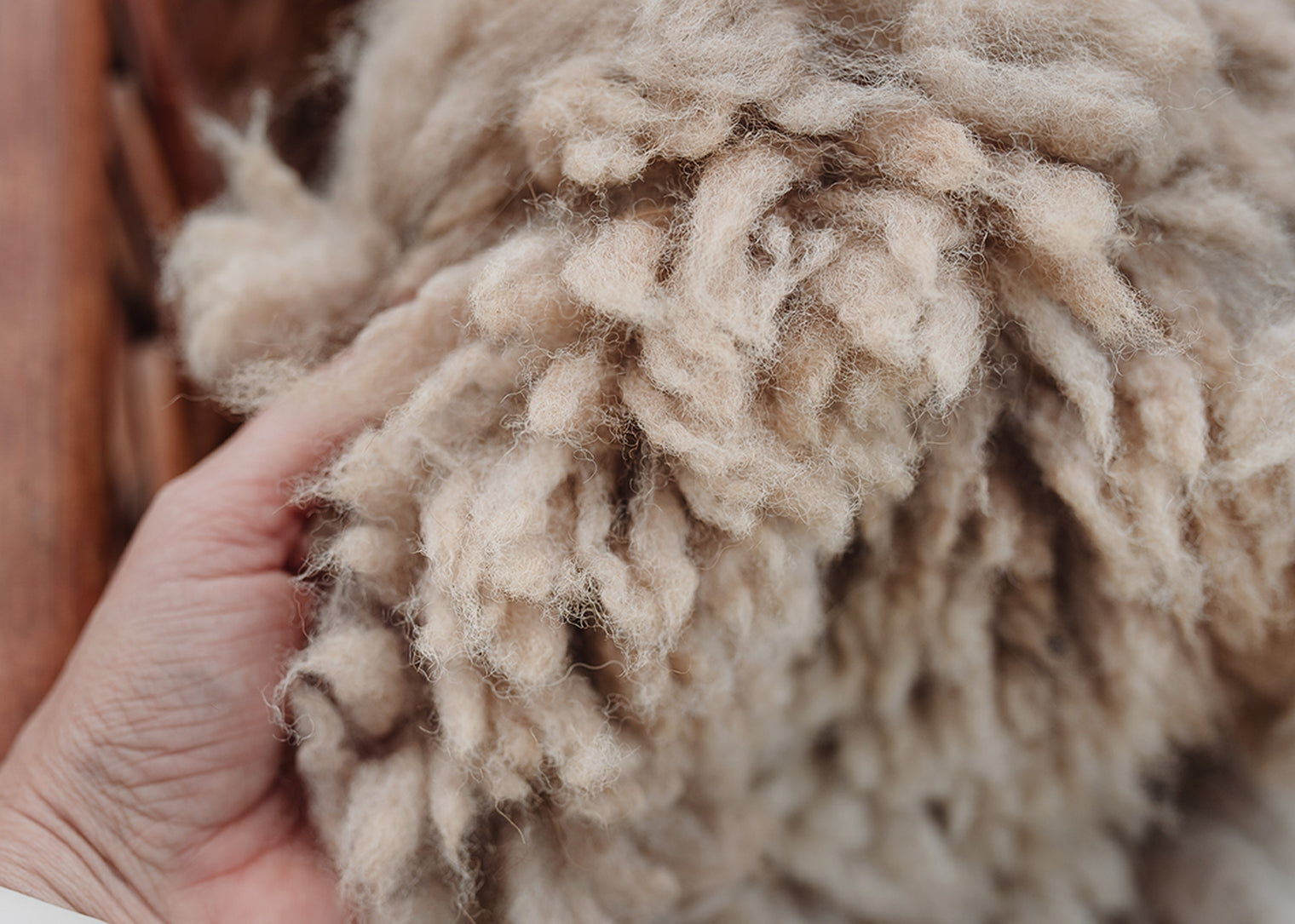 Alpaca Fleece