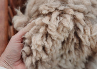 Alpaca Fleece