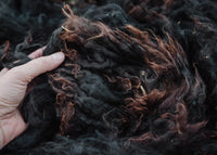 Alpaca Fleece