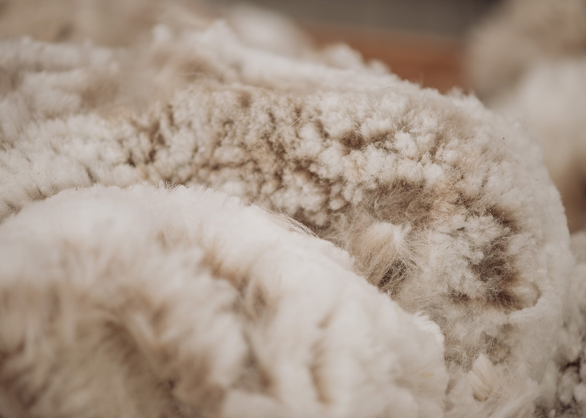 Collections – Kensington Prairie Farm Ltd.
