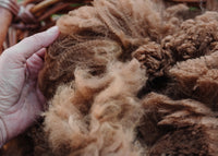 Alpaca Fleece