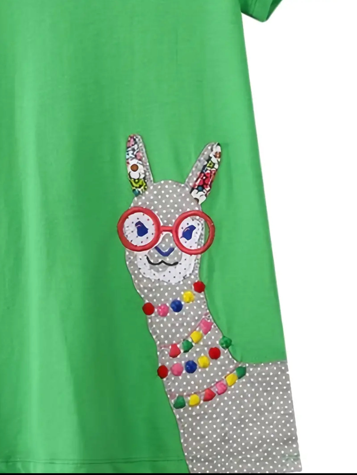 Cotton Dress with Alpaca Embroidery