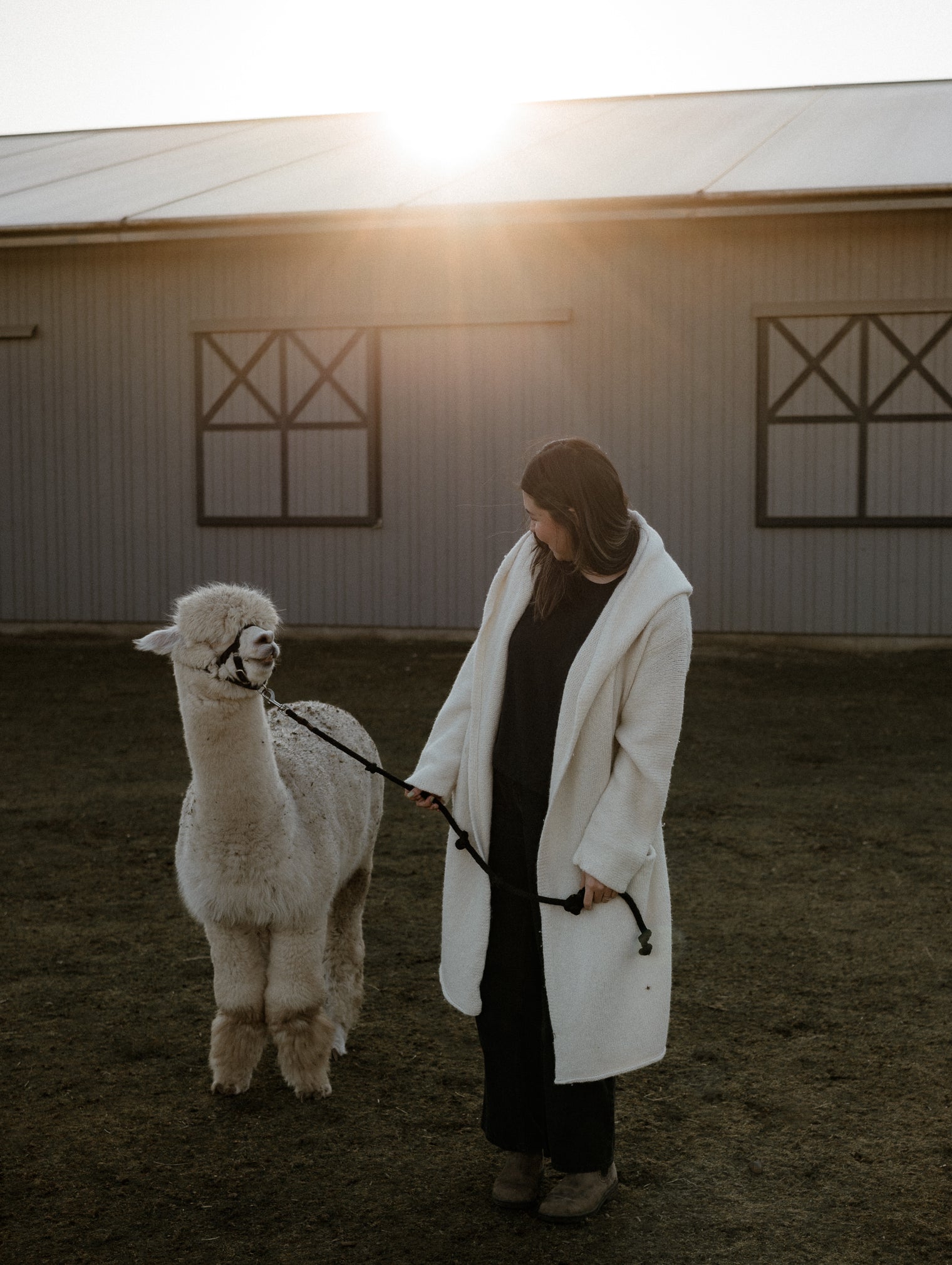 Women's Belen Hooded Alpaca Coat