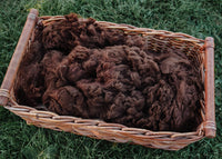 Alpaca Fleece