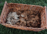 Alpaca Fleece