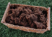 Alpaca Fleece
