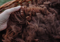 Alpaca Fleece