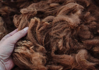 Alpaca Fleece
