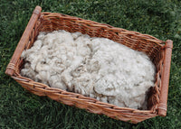 Alpaca Fleece