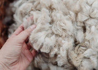 Alpaca Fleece