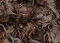 Alpaca Fleece