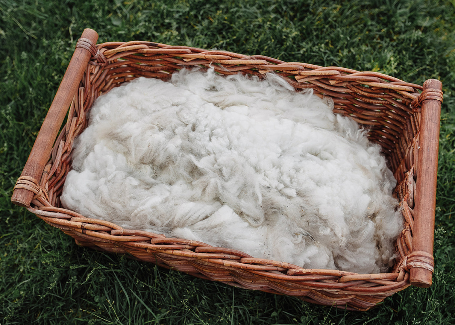 Alpaca Fleece